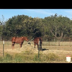 Meet your Posher, Lana